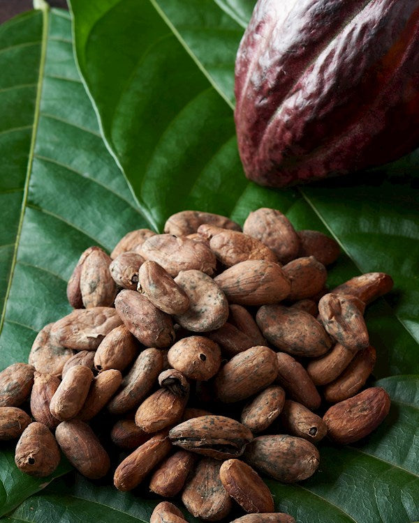 72% Dark Chocolate - Bolivia Blend