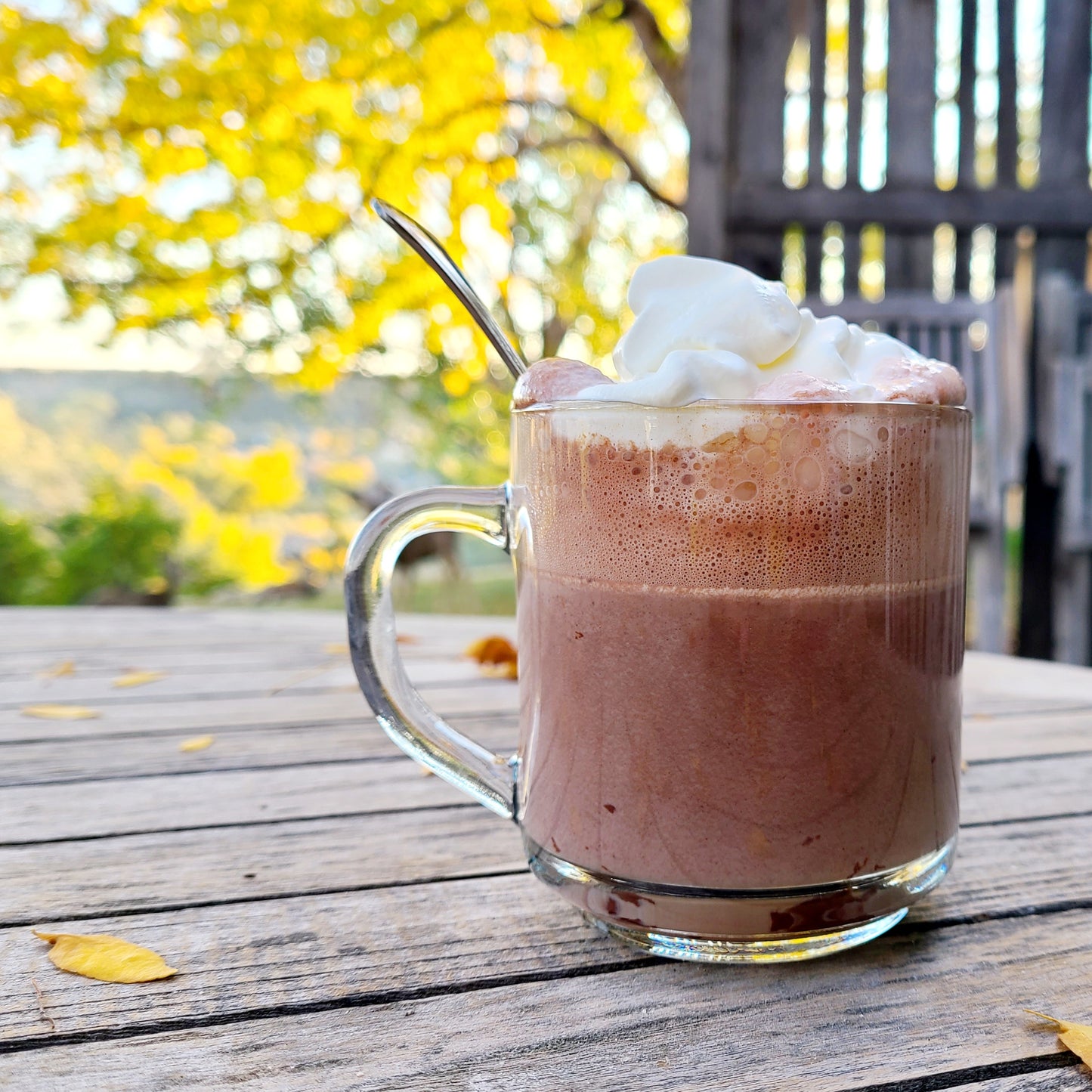 Organic Dark Drinking Chocolate